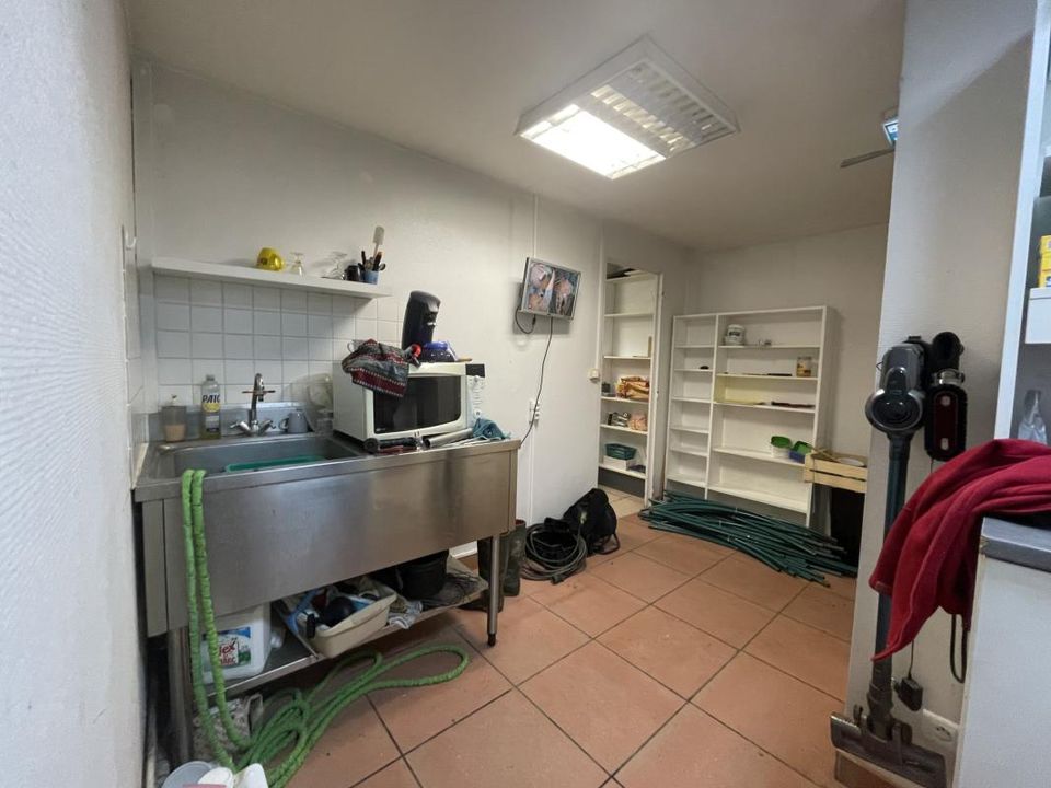 Erhvervsejendom i Ingrandes, Vienne - foto 4