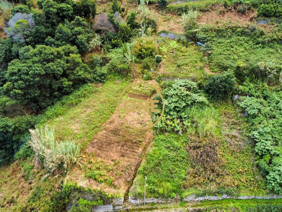 Helårsgrund i Machico, Madeira - foto 3