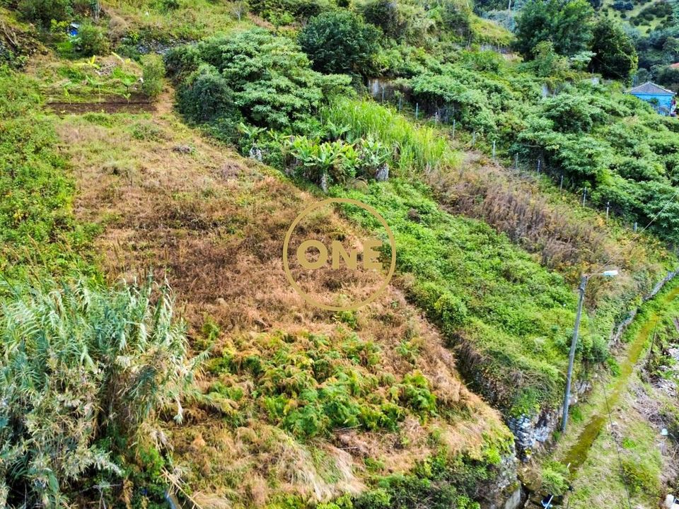 Helårsgrund i Machico, Madeira - foto 4