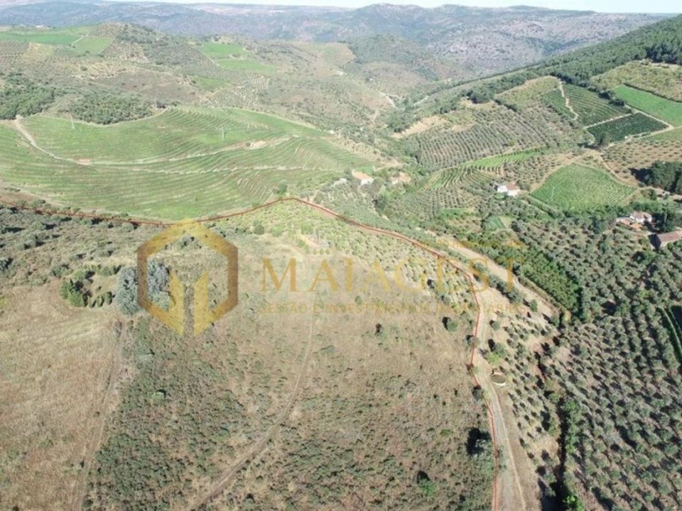 Tomt i Freixo de Espada a Cinta, Braganca - bilde 4