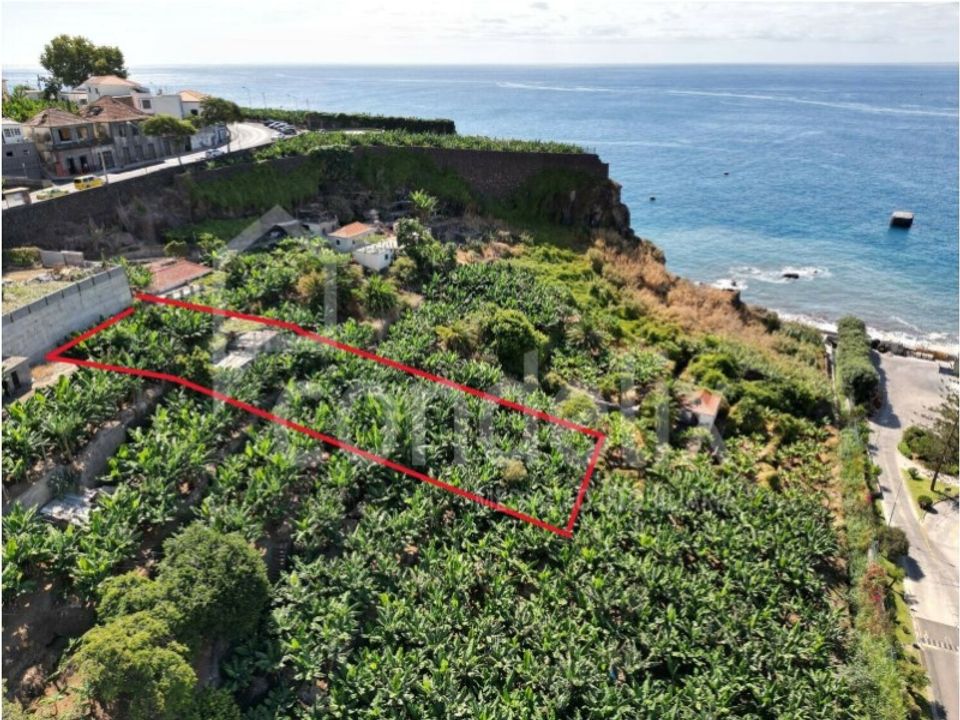 Helårsgrund i Funchal, Madeira - foto 1