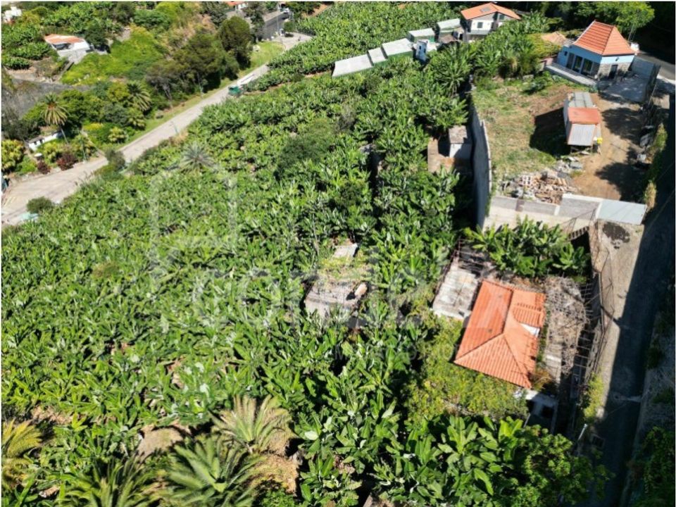 Helårsgrund i Funchal, Madeira - foto 5