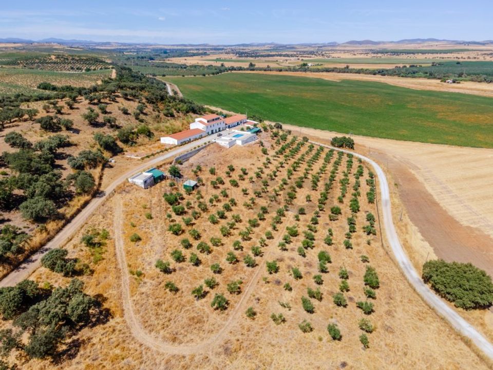 Farm i Campo Maior, Portalegre - foto 1