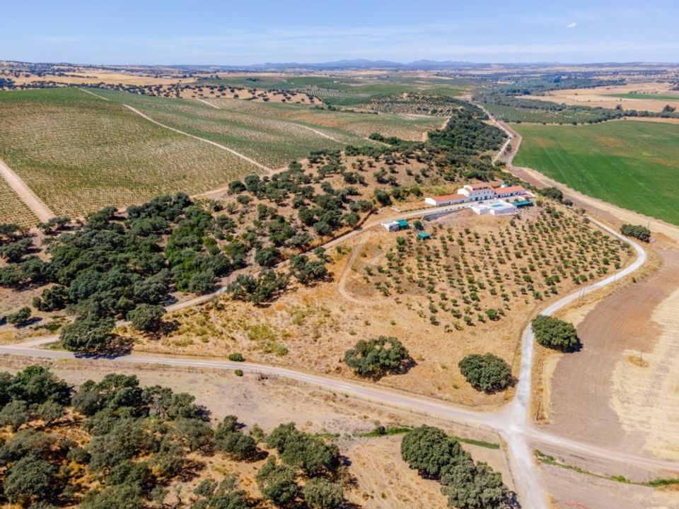 Farm i Campo Maior, Portalegre - foto 2