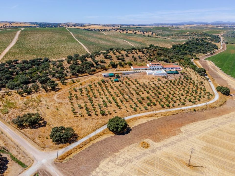 Farm i Campo Maior, Portalegre - foto 3