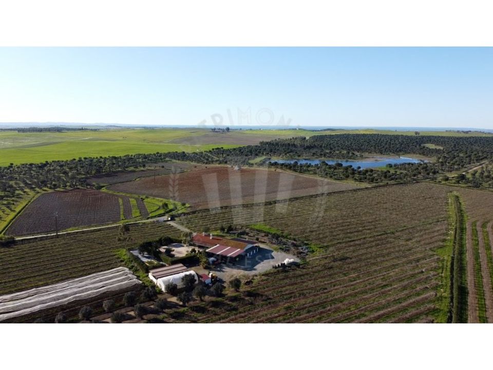 Masia a Messejana, Beja - foto 1