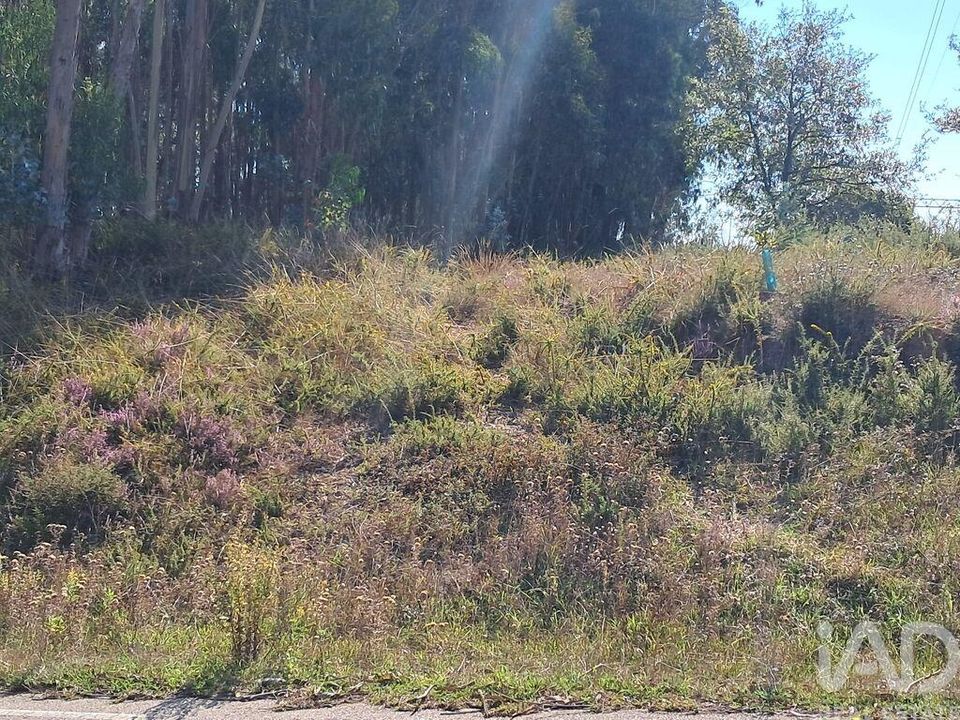 Helårsgrund i Leiria, Leiria - foto 3