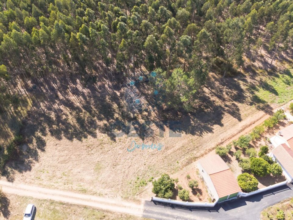Helårsgrund i Bombarral, Leiria - foto 3