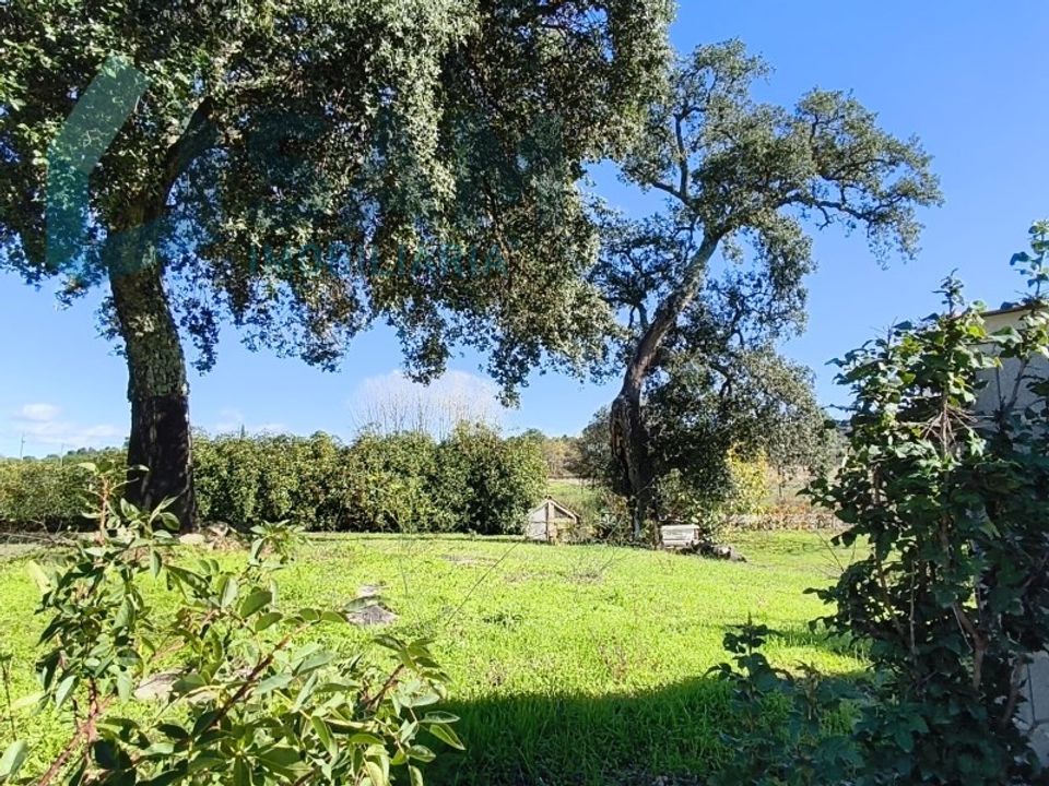 Landejendom i Juncais, Vila Ruiva e Vila Soeiro do Chão, Guarda - foto 4