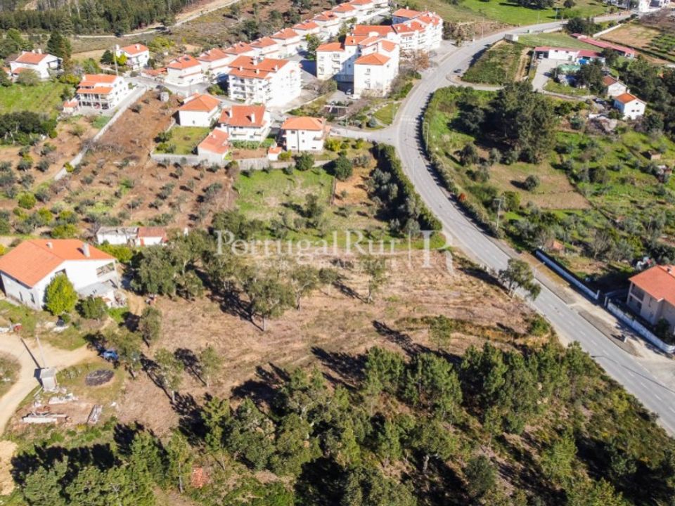 Helårsgrund i Proenca-a-Nova, Castelo Branco - foto 4