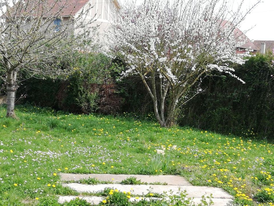 Studio i Dreux, Eure-et-Loir - foto 4