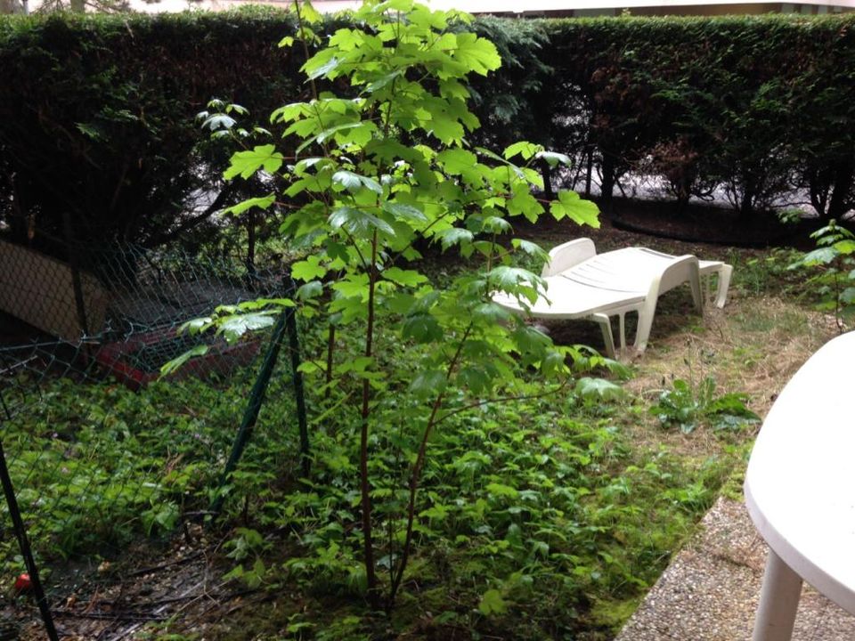 Studio i Verrières-le-Buisson, Essonne - foto 3