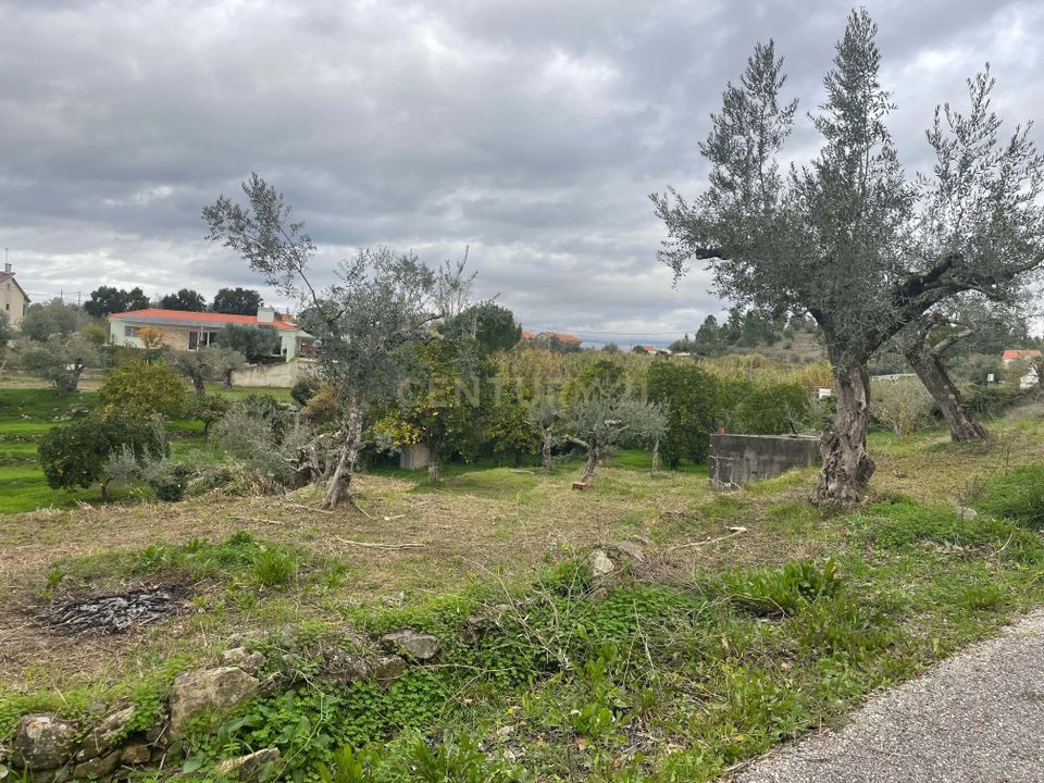 Helårsgrund i Abrantes, Santarem - foto 1