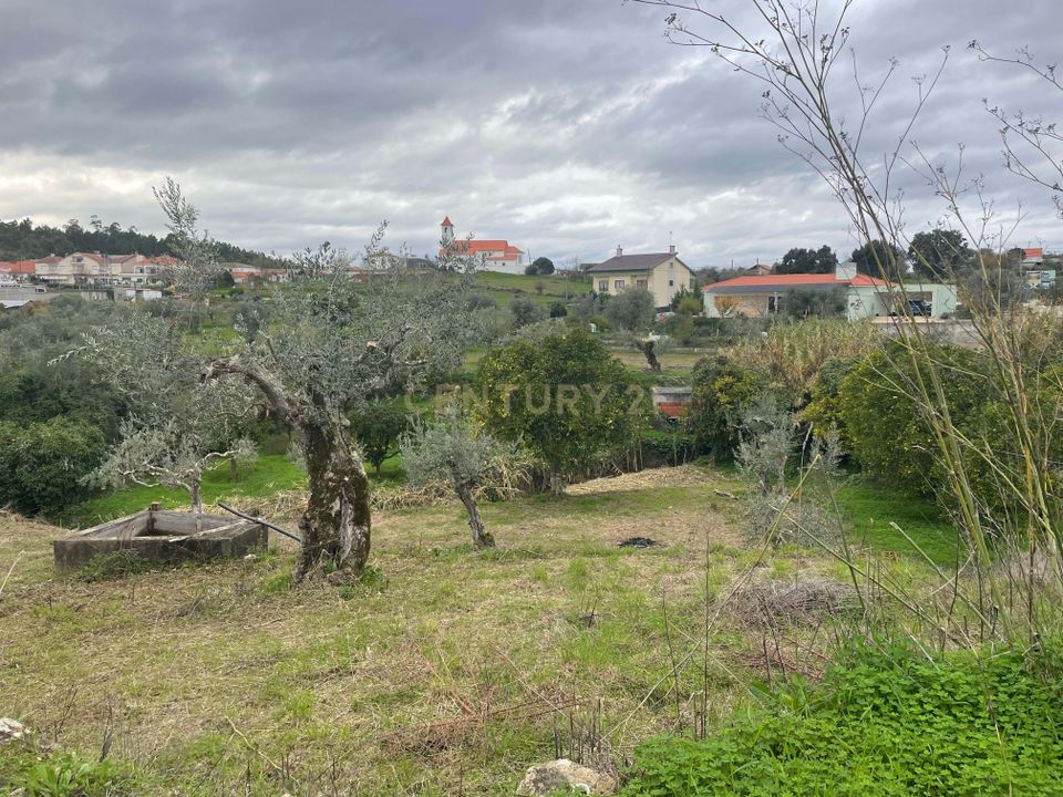 Helårsgrund i Abrantes, Santarem - foto 2