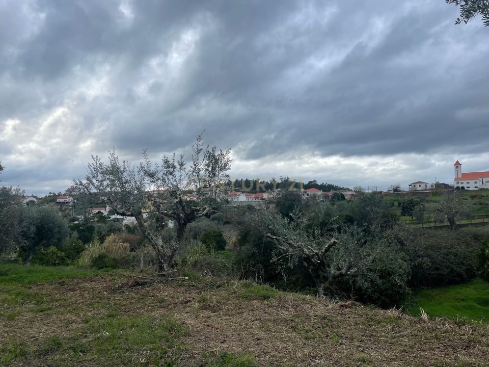 Helårsgrund i Abrantes, Santarem - foto 3