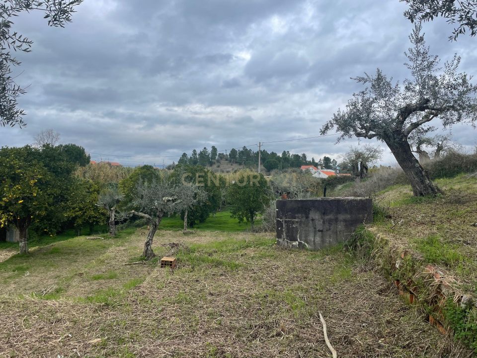 Helårsgrund i Abrantes, Santarem - foto 4