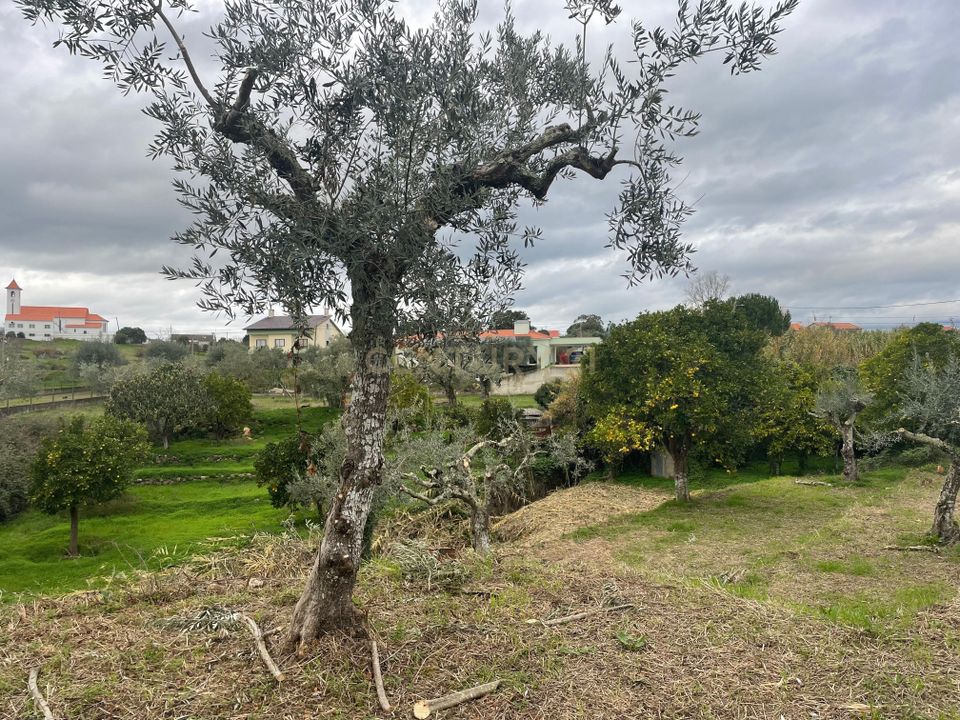 Helårsgrund i Abrantes, Santarem - foto 5