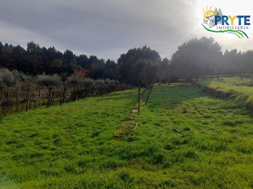 Helårsgrund i Serta, Castelo Branco - foto 2