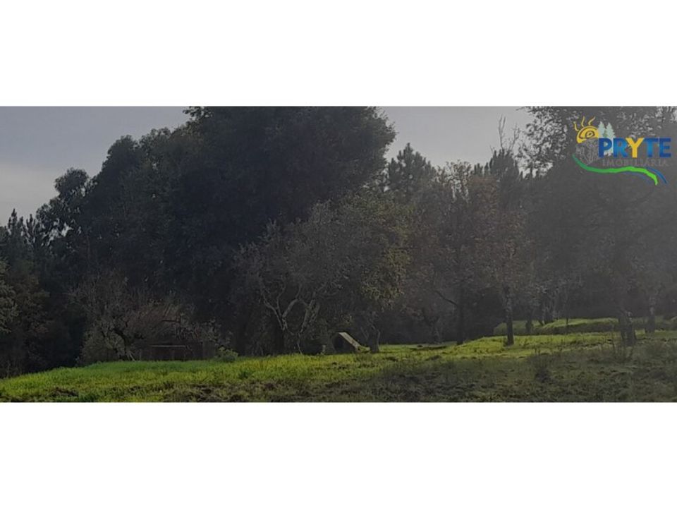 Helårsgrund i Serta, Castelo Branco - foto 4