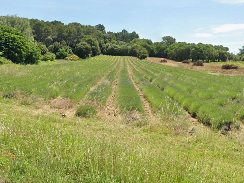 Tomt i Bollène, Vaucluse - bilde 1