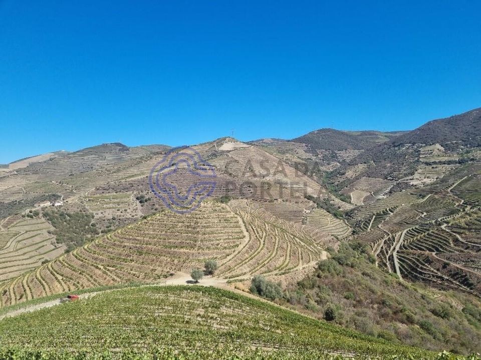 Farm i Sao Joao da Pesqueira, Viseu - foto 5