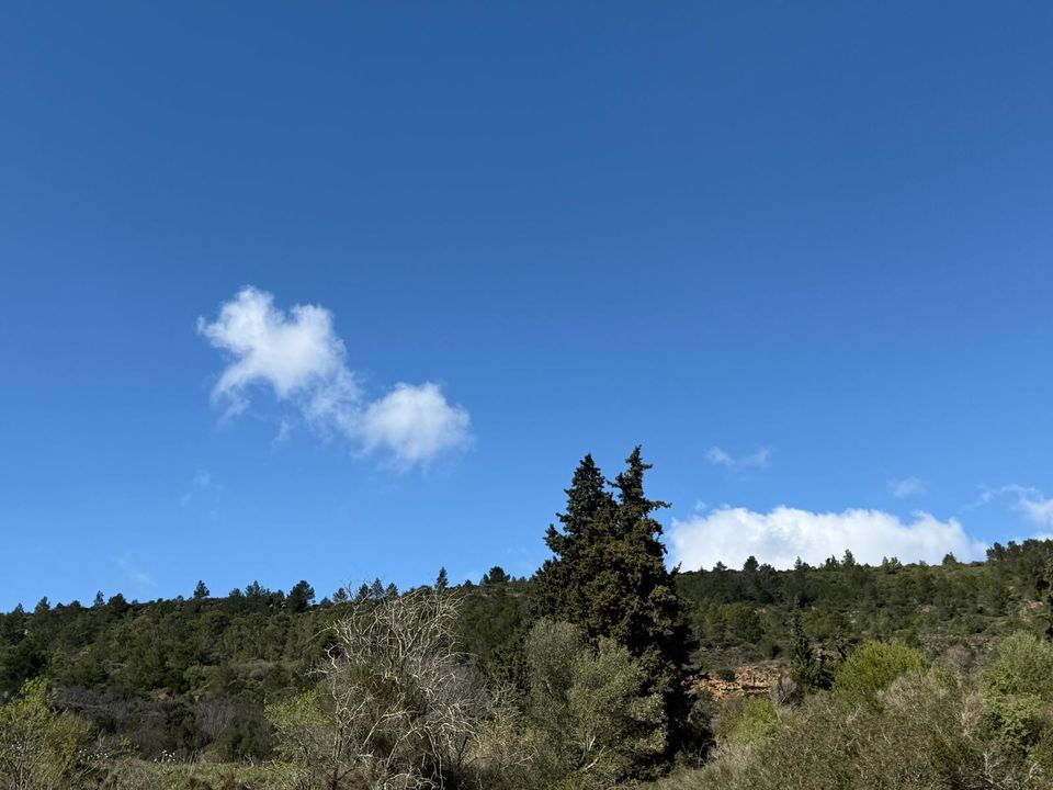 Helårsgrund i Albas, Aude - foto 2