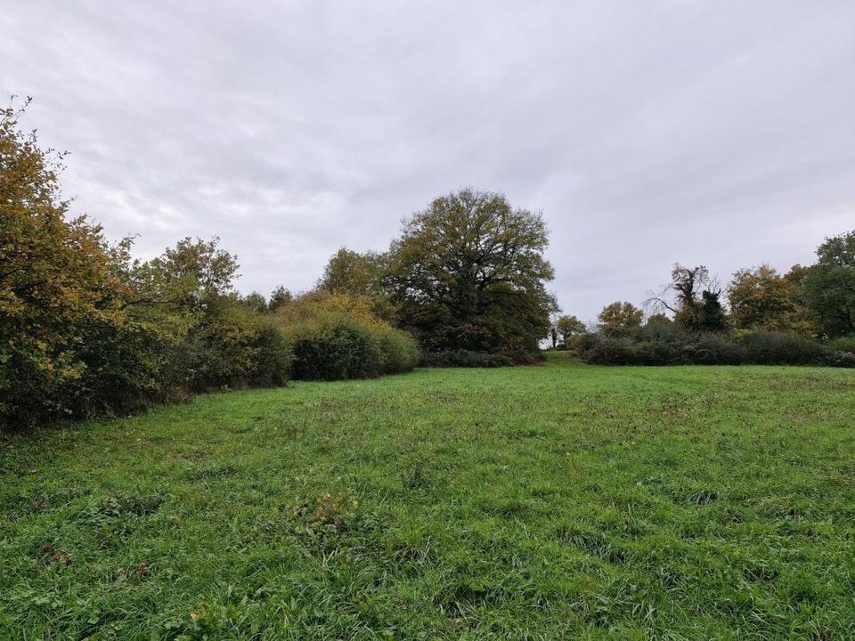 Helårsgrund i Le Blanc, Indre - foto 4