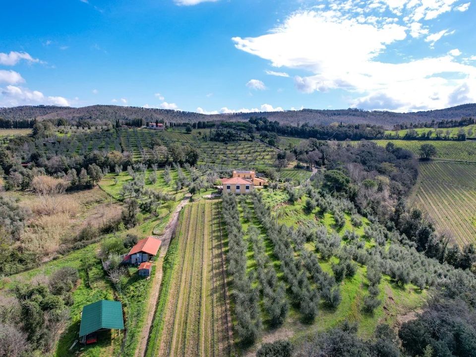 Casa de campo en Castagneto Carducci, Livorno - foto 3