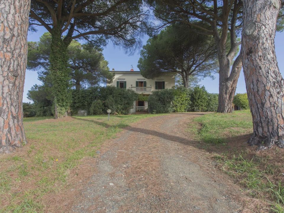 Erhvervsejendom i Casale Marittimo, Pisa - foto 1