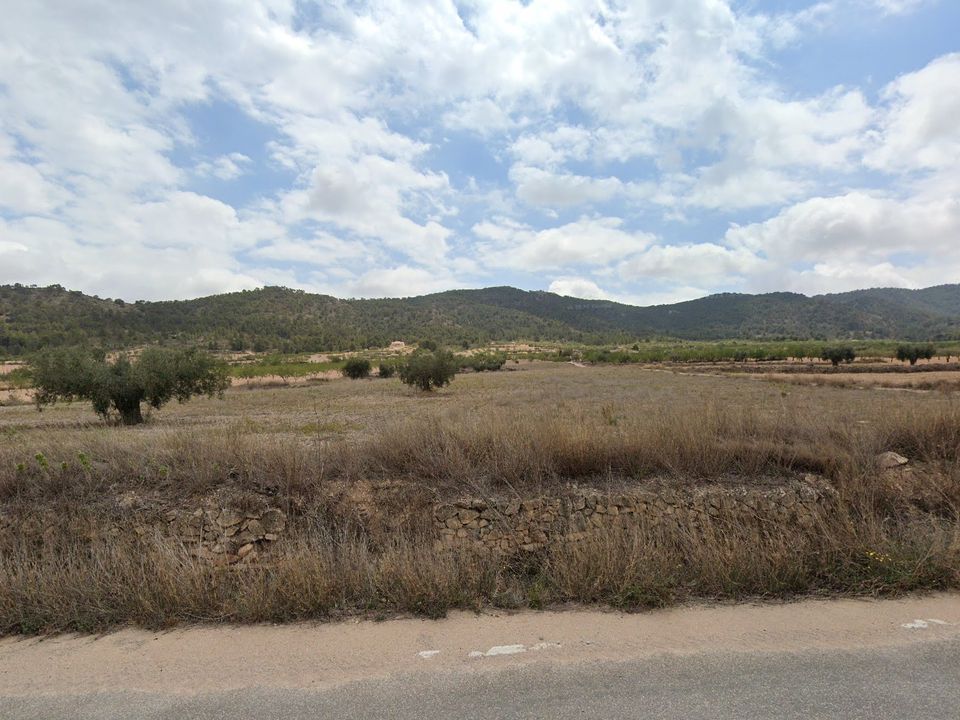 Terra a La Zarza, Murcia - foto 1