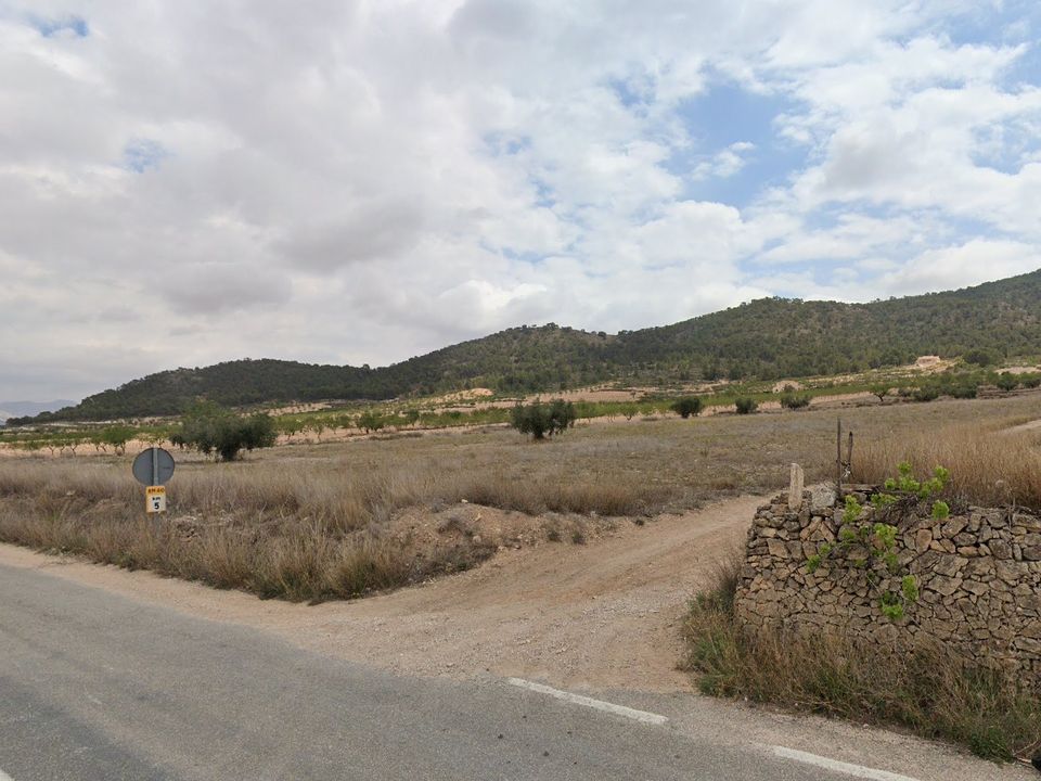 Terra a La Zarza, Murcia - foto 4