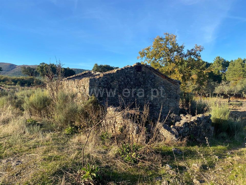 Landejendom i Fundao, Castelo Branco - foto 1