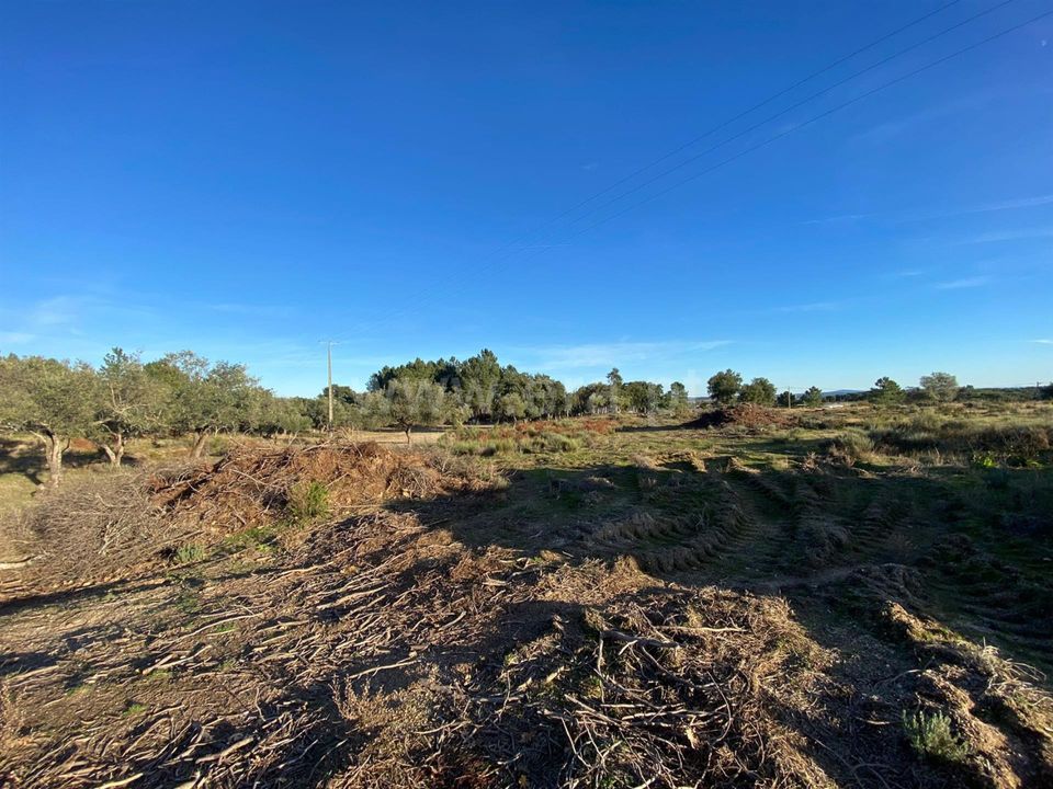 Landejendom i Fundao, Castelo Branco - foto 4