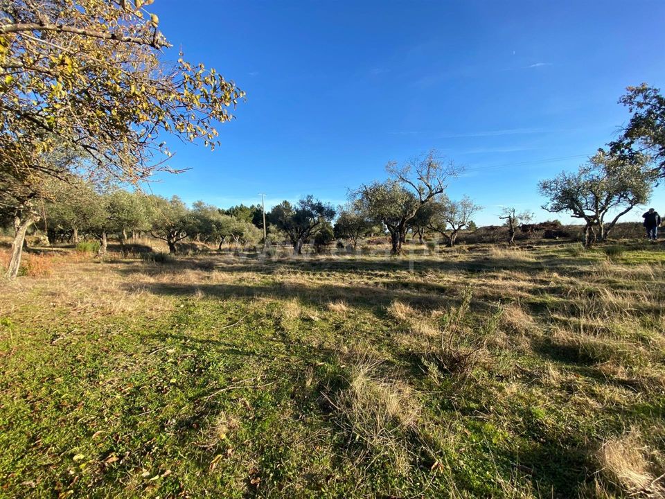 Landejendom i Fundao, Castelo Branco - foto 5