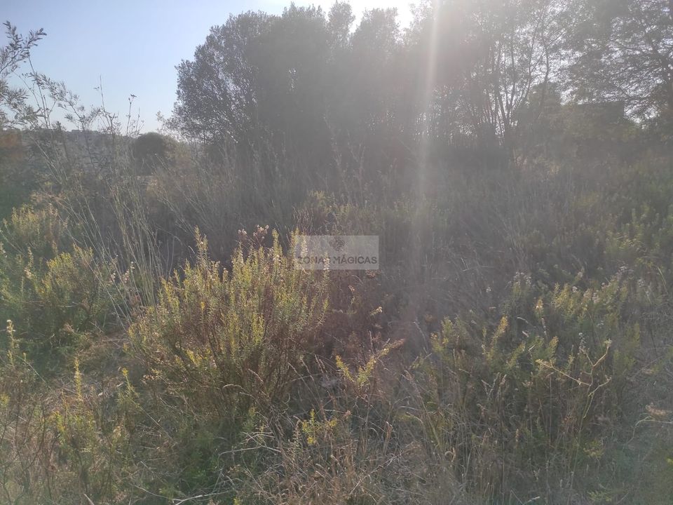 Ruinere i Lagos, Faro - foto 4