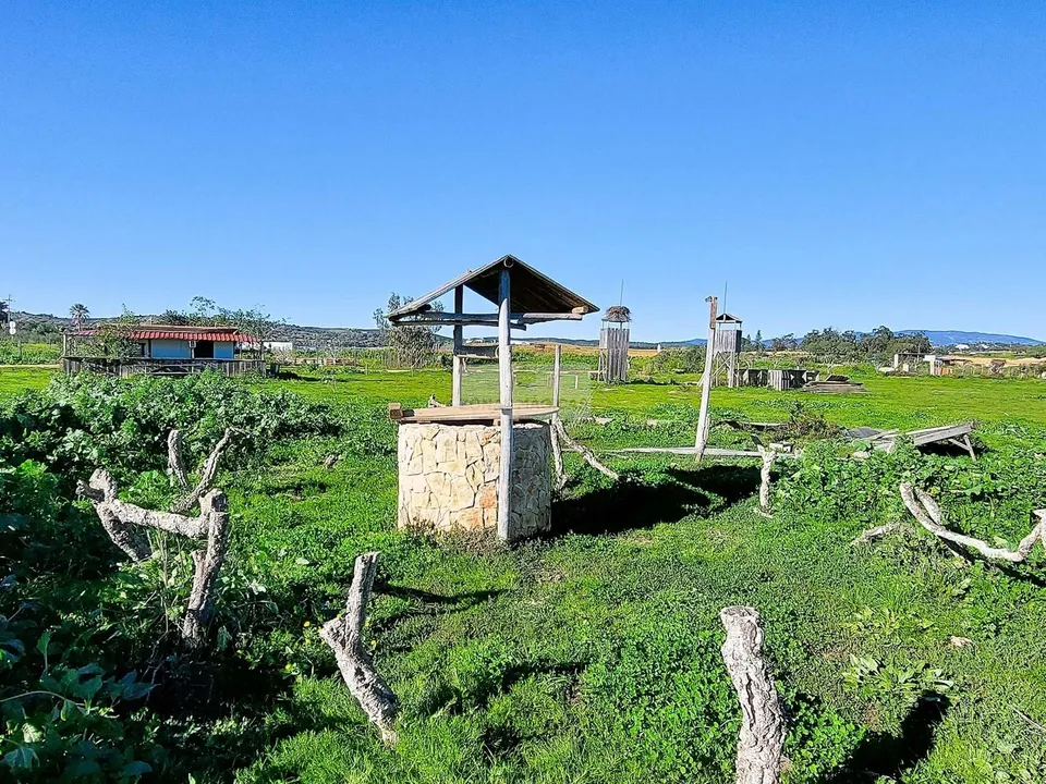 Farm hus i Lagos, Faro - foto 1