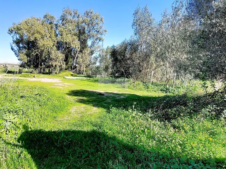 Farm hus i Lagos, Faro - foto 2