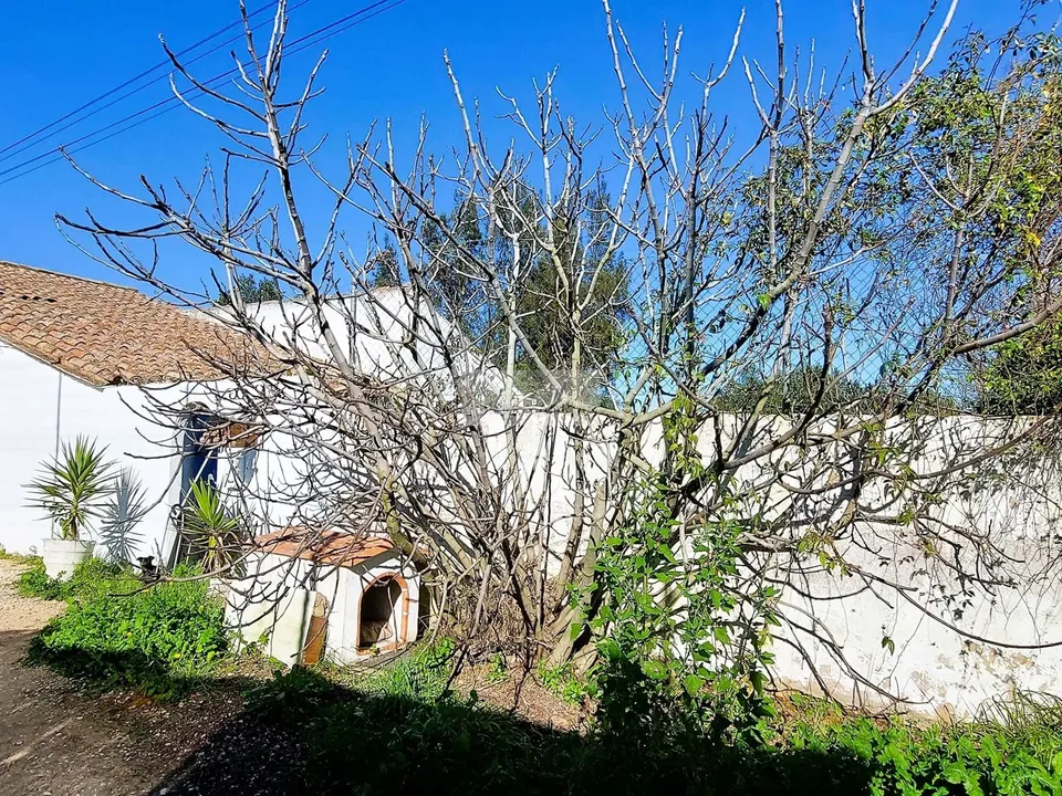 Farm hus i Lagos, Faro - foto 3