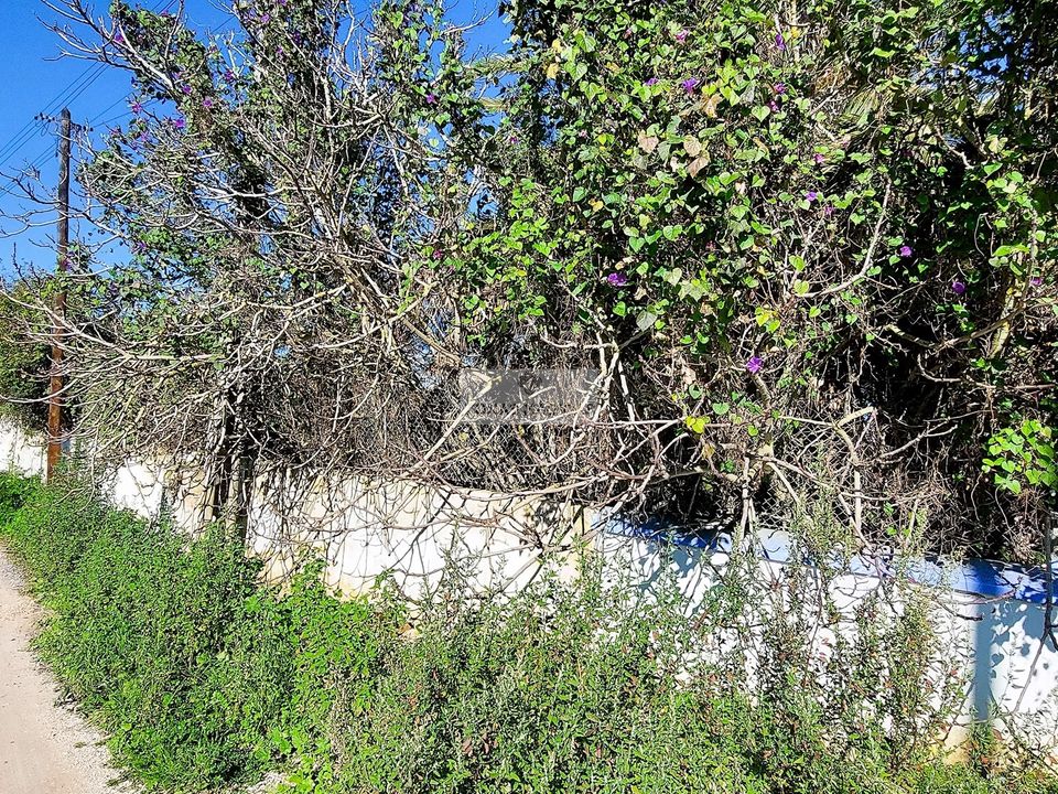 Farm hus i Lagos, Faro - foto 4