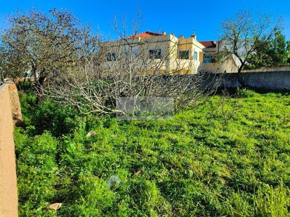 Helårsgrund i Lagos, Faro - foto 2