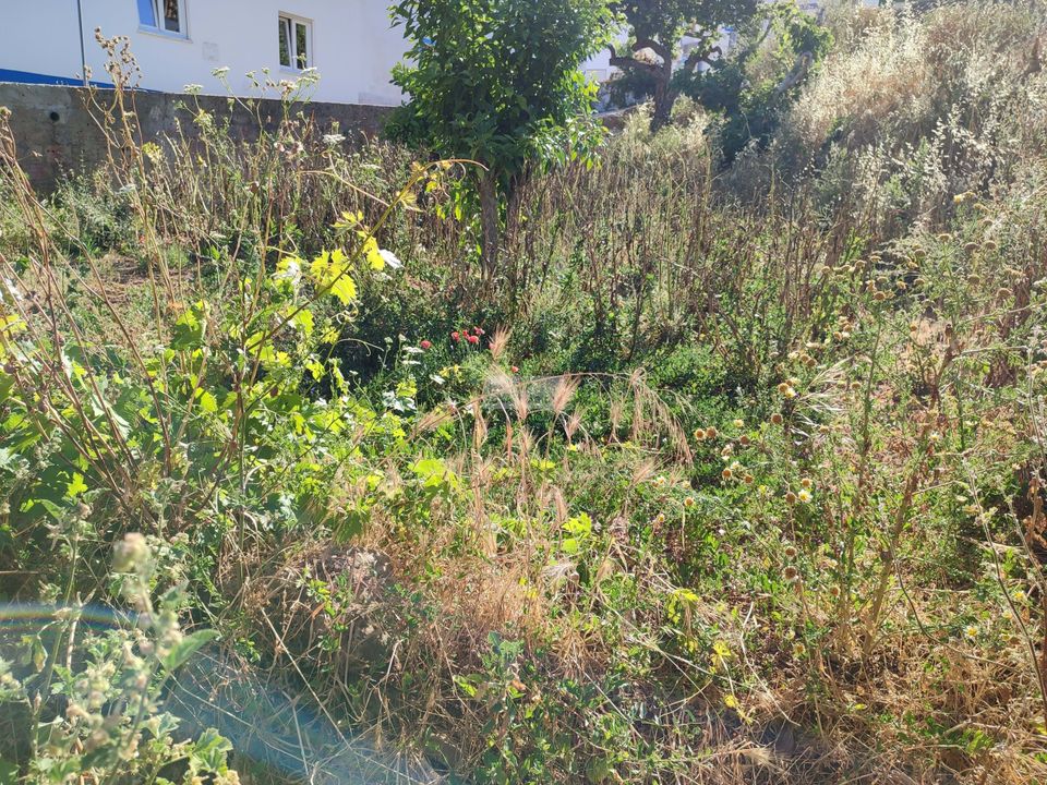 Helårsgrund i Sagres, Faro - foto 2
