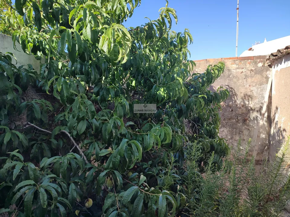 Villa i Sagres, Faro - foto 2