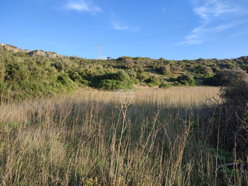 Tomt i Sagres, Faro - bilde 5