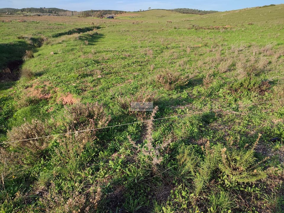 Helårsgrund i Sagres, Faro - foto 1