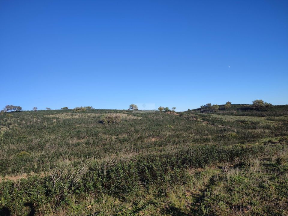 Terra a Sagres, Faro - foto 2