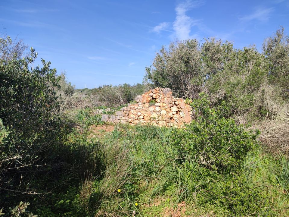 Helårsgrund i Sagres, Faro - foto 2