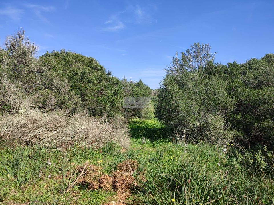 Helårsgrund i Sagres, Faro - foto 3
