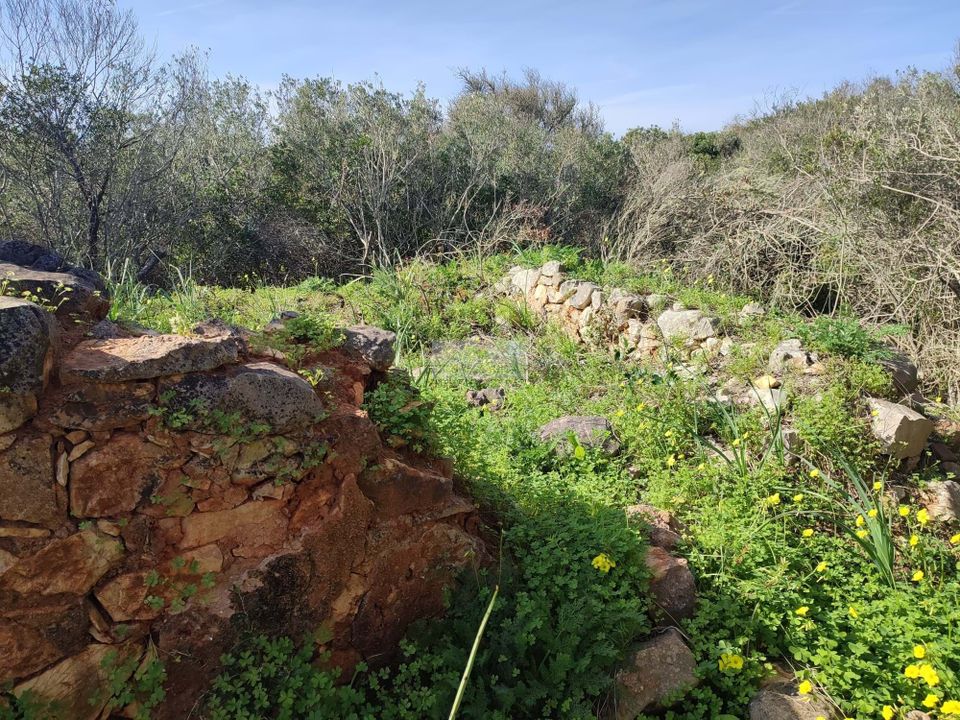 Helårsgrund i Sagres, Faro - foto 5