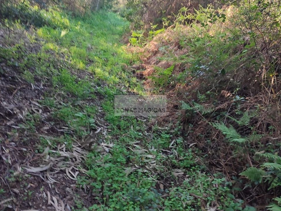Ruinere i Monchique, Faro - foto 4