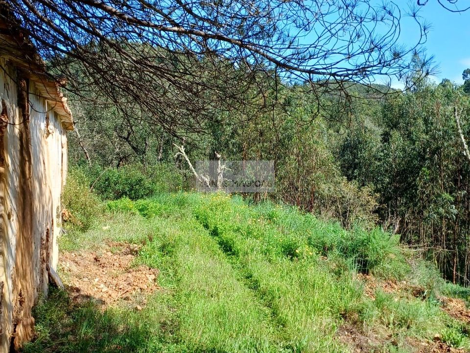 Tomt i Aljezur, Faro - bilde 2